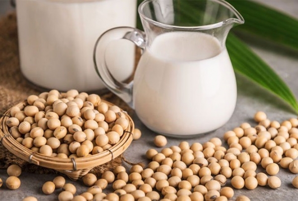 Sữa đậu nành với sữa bò, sữa nào tốt hơn?