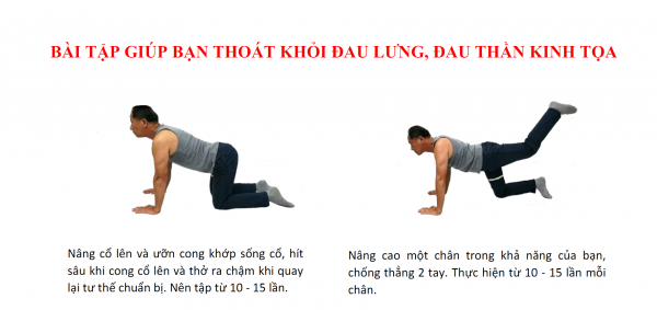 Bài tập giúp bạn thoát khỏi đau lưng có file download