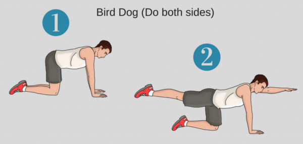 Bài tập Low back & core